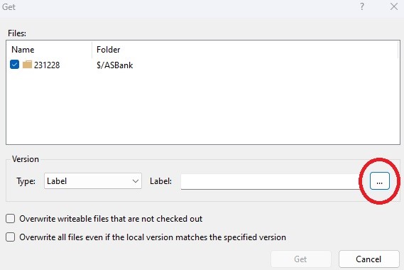 get_project_get_specific_version_window_label